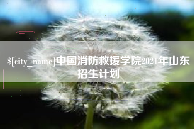 梁山中国消防救援学院2021年山东招生计划