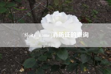 梁山消防证的查询