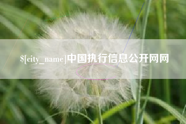 梁山中国执行信息公开网网