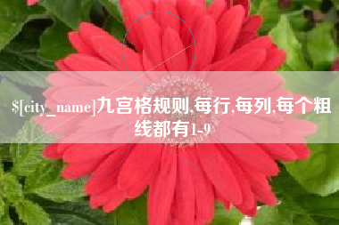 梁山九宫格规则,每行,每列,每个粗线都有1-9