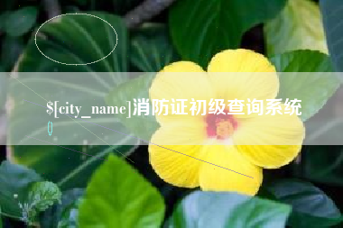 梁山消防证初级查询系统