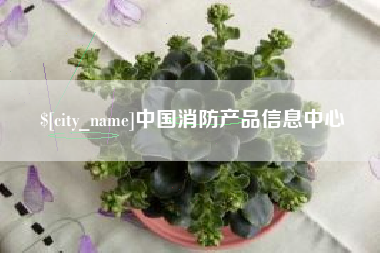 梁山中国消防产品信息中心