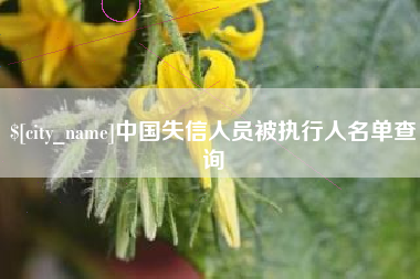 梁山中国失信人员被执行人名单查询