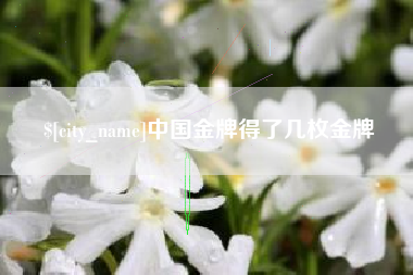 梁山中国金牌得了几枚金牌