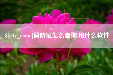 梁山消防证怎么查询,用什么软件