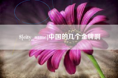 梁山中国的几个金牌啊