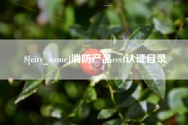 梁山消防产品cccf认证目录