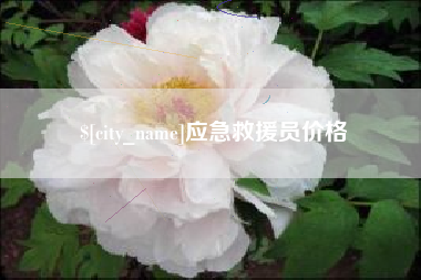 梁山应急救援员价格