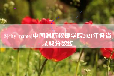 梁山中国消防救援学院2021年各省录取分数线