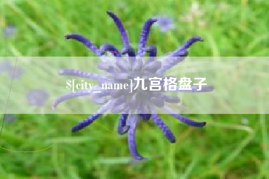 梁山九宫格盘子