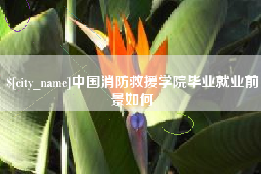 梁山中国消防救援学院毕业就业前景如何