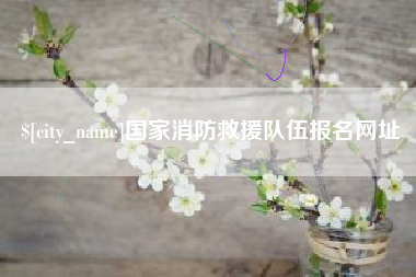 梁山国家消防救援队伍报名网址