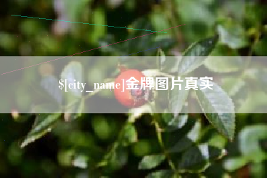 梁山金牌图片真实