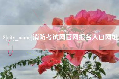 梁山消防考试网官网报名入口网址