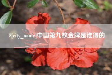 梁山中国第九枚金牌是谁得的