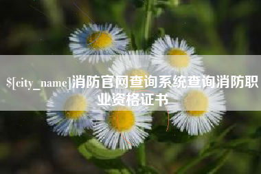 梁山消防官网查询系统查询消防职业资格证书