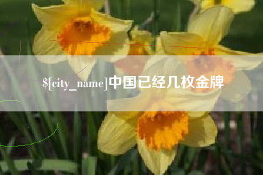 梁山中国已经几枚金牌