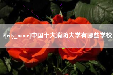 梁山中国十大消防大学有哪些学校