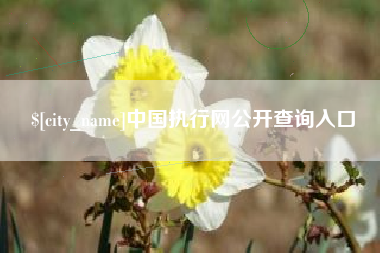 梁山中国执行网公开查询入口