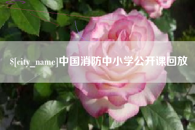 梁山中国消防中小学公开课回放