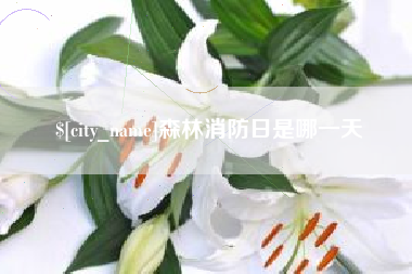 梁山森林消防日是哪一天