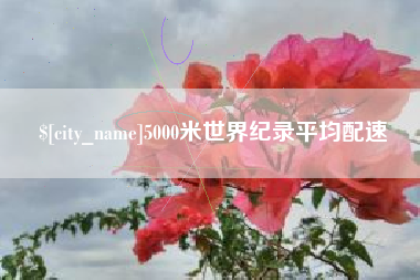 梁山5000米世界纪录平均配速