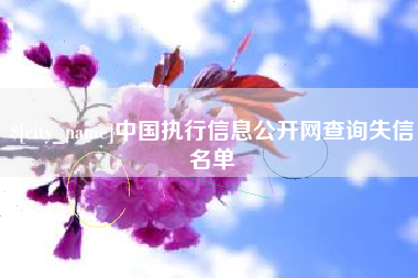 梁山中国执行信息公开网查询失信名单
