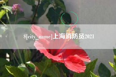梁山上海消防员2021