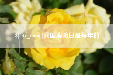梁山我国消防日是每年的