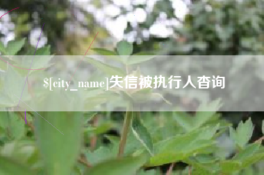 梁山失信被执行人杳询