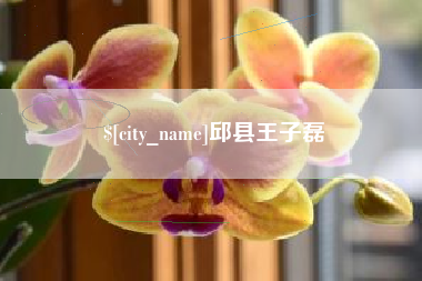 梁山邱县王子磊