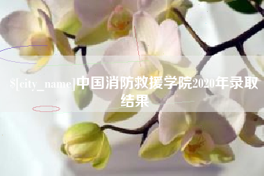 梁山中国消防救援学院2020年录取结果
