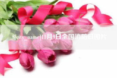 梁山11月9日全国消防日图片