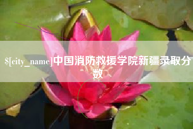 梁山中国消防救援学院新疆录取分数