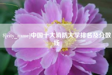 梁山中国十大消防大学排名及分数线