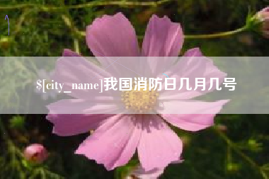 梁山我国消防日几月几号