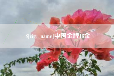 梁山中国金牌18金