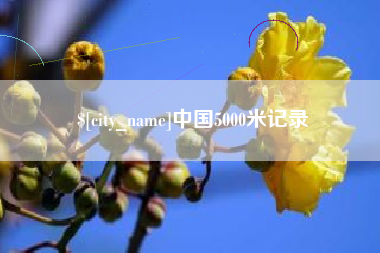 梁山中国5000米记录