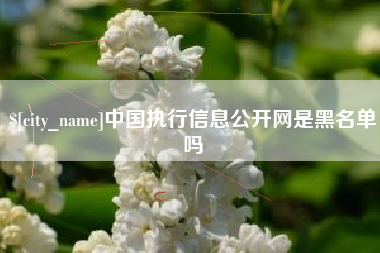 梁山中国执行信息公开网是黑名单吗