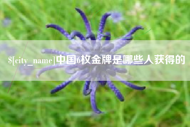 梁山中国6枚金牌是哪些人获得的