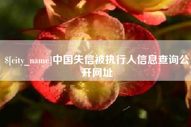 梁山中国失信被执行人信息查询公开网址