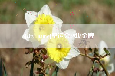梁山奥运会39块金牌