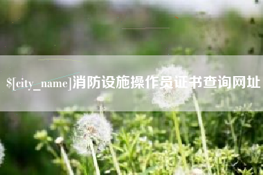 梁山消防设施操作员证书查询网址
