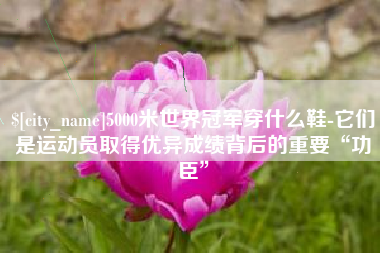 梁山5000米世界冠军穿什么鞋-它们是运动员取得优异成绩背后的重要“功臣”