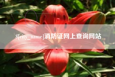 梁山消防证网上查询网站