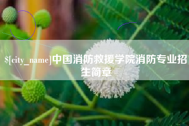 梁山中国消防救援学院消防专业招生简章