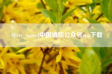 梁山中国消防公众号app下载
