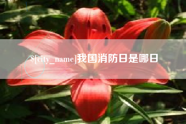 梁山我国消防日是哪日
