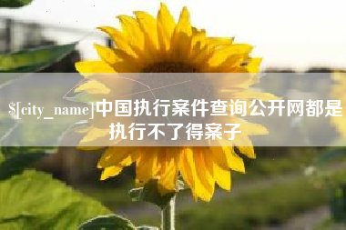 梁山中国执行案件查询公开网都是执行不了得案子