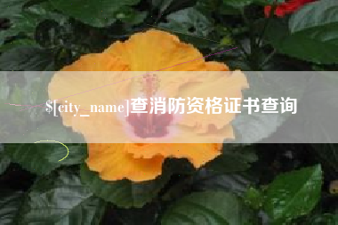 梁山查消防资格证书查询